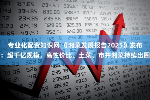 专业化配资知识网 《湘菜发展报告2025》发布：超千亿规模，高性价比、土菜、市井湘菜持续出圈